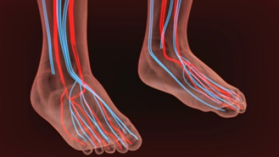 Poor Foot Circulation and How to Protect Your Feet